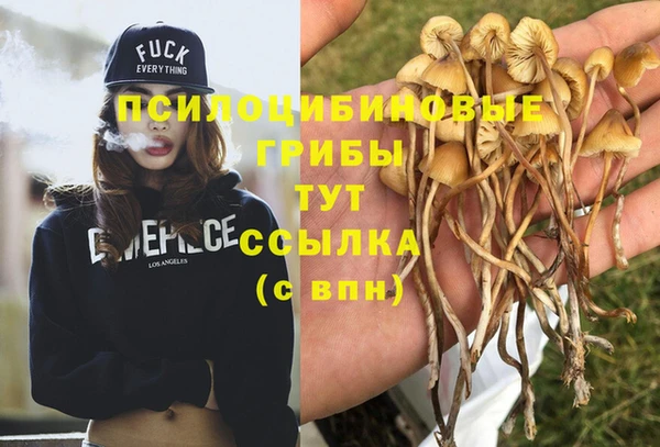 spice Сатка