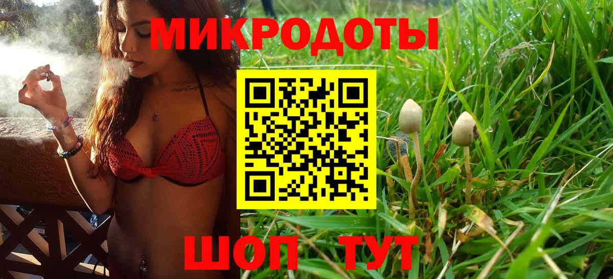 Новозыбков  Псилоцибиновые грибы MAGIC MUSHROOMS  Вход с VPN 